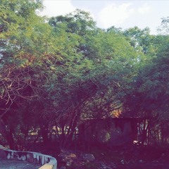 سيناء هادي / صياد شاطر