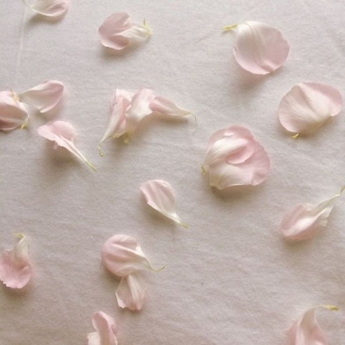 a letter to a dead friend
