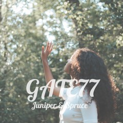 GATE77 - Juniper & Spruce  [Lofi]