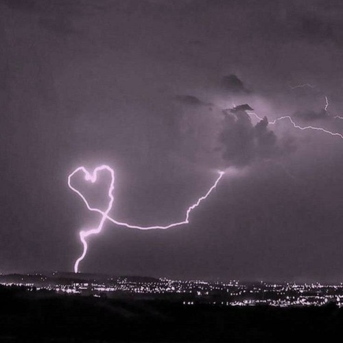 True Luv♡ (feat. Alek Oni) ((prod. sunshowers))