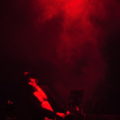 Rabbits Eat Lettuce 2025