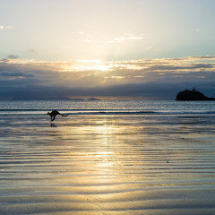 Progressive Horizons 03.10.2025 | One of the best Sets ever