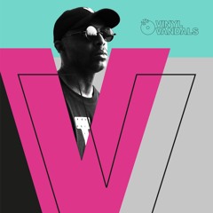 Vinyl Vandals - Guest Mix (Amapiano Mix) 078