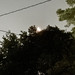 Mattered (in her words)  by - Hunter Hex