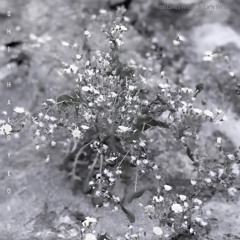 Real Love/White Lily (Early Version)