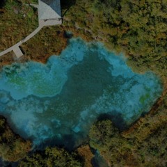 Net-Zero 2050: Charting A Meaningful Path to An Emissions-Free World