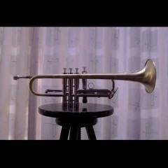 Torricellis Trompete Dub