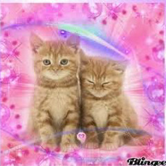 FELLINLUV<3