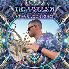 Gydravlik - TRIPPYLLYA festival/ 22.06.2025 / Morning Oldschool Vertigo