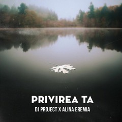 DJ Project x Alina Eremia - Privirea Ta (808fxri Remix)