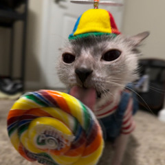 Klumsy Kat