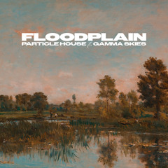 Floodplain (feat. Gamma Skies)