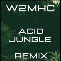 Acid Jungle Remix