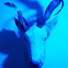 sHeidi&Herr Oberfoerster_mantra.wav