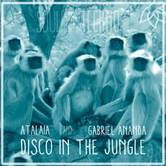 Gabriel Ananda & Atalaia - Disco In The Jungle