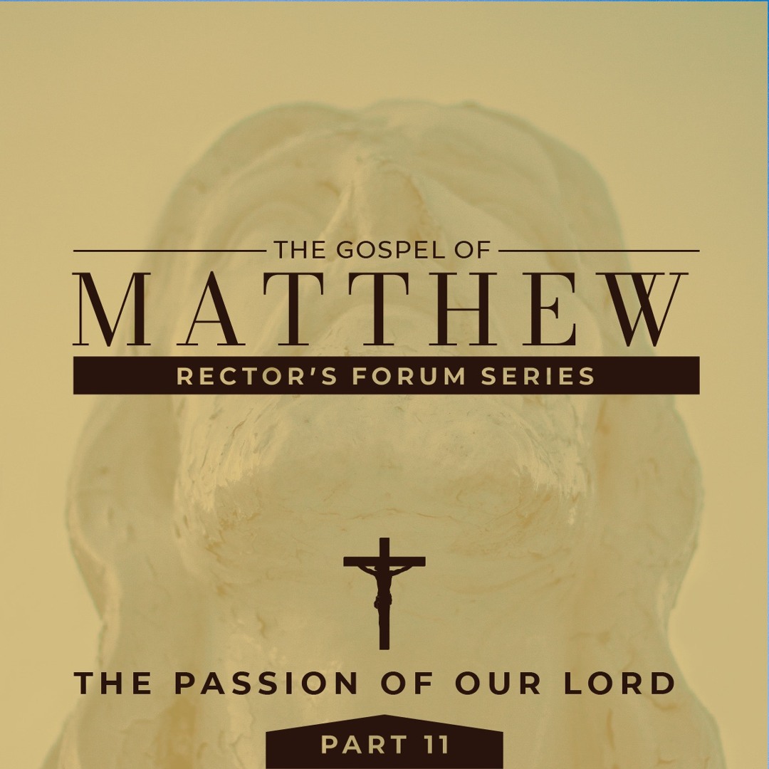Great Rector's Stream 4/16/2023 - Rector's Forum - The Great Commission by Our Saviour ...