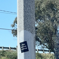 iluvu prod. rllymano//wejustridin