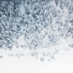 Paint Our Home White