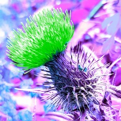 Crapola Radio Podcast 1 Pilot