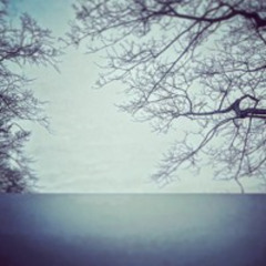 The Almost Child by Obelisk Grove