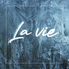 03 - Julien Minet - "La vie (Khords Halfstep Edit)"