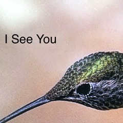 I See You (steppin' mix)