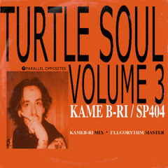 Turtle Soul vol. 3 [Full Beat Tape]
