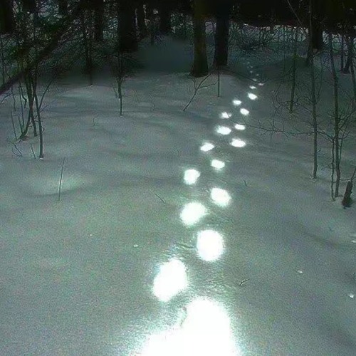 Misani-Oracle slowed