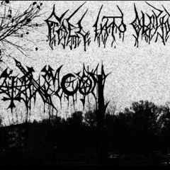 fatalmoon ”ne perdez jamais espoir”(akitsa)