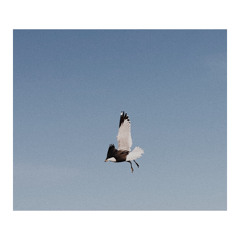 flight path
