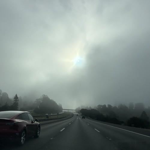 vintagemotion x ricky