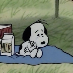 404