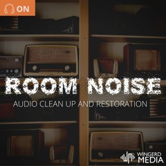 Room Noise Audio Clean Up and Restoration