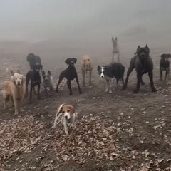 BLOOMING IN FILTH W/ USER2222 070126