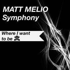 Matt Melio - Symphony