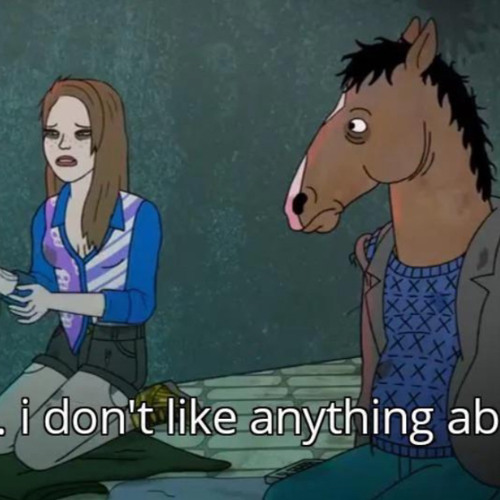 bojack i dont like anthintg about me - Sarah Lynn