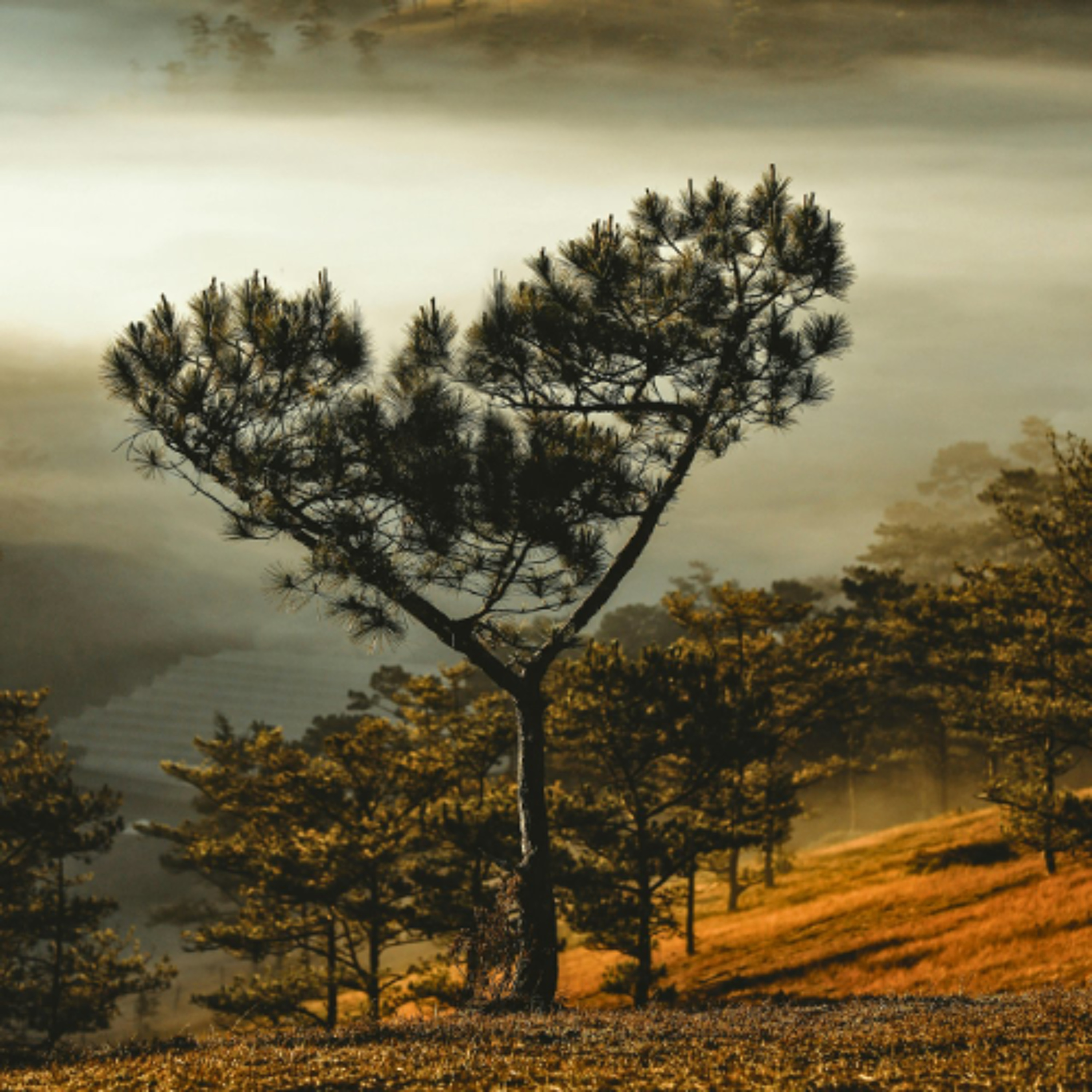 Why do women have to be quiet in church? episode artwork