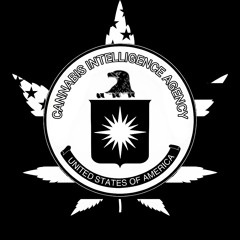 feel da m4gic (C.I.A.)