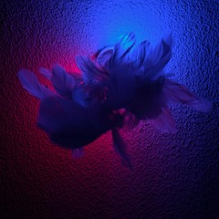 ELLA (Prod. Trapzongo)