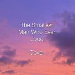 The Smallest Man Who Ever Lived (Taylor Swift Cover)