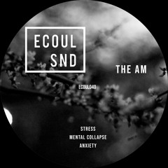 The AM - Mental Collapse (Preview)