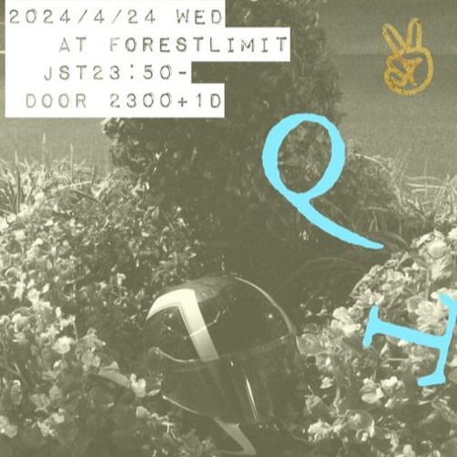 QT at FORESTLIMIT 2024/4/24