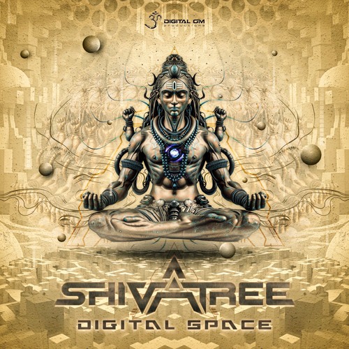 Shivatree - Digital Space (Original Mix)