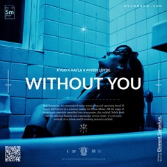 Kygo x Hayla - Without You (Ayden Loyde Extended Remix)