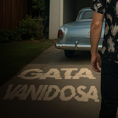 Gata Vanidosa
