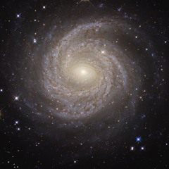 Starfall 2024 - late night