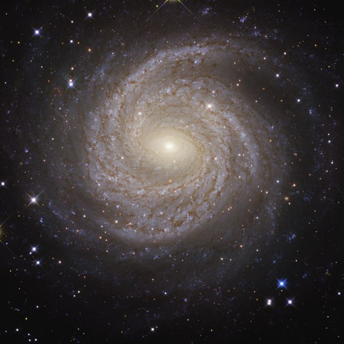 Starfall 2024 - late night