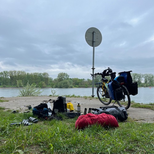 BIRDSong, Bird, Woodpecker, Cuckoo, Background Flowing Water, Rhine River, Germany