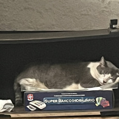 shh! não faz barulho, os cachorros estão conversando (2022 demo)