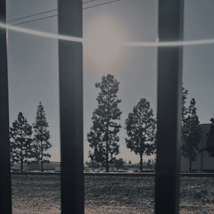 Knockin' On Heavens Door (Bob Dylan COVER)